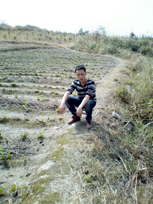 你好的第一张照片--嘉兴相亲服务中心