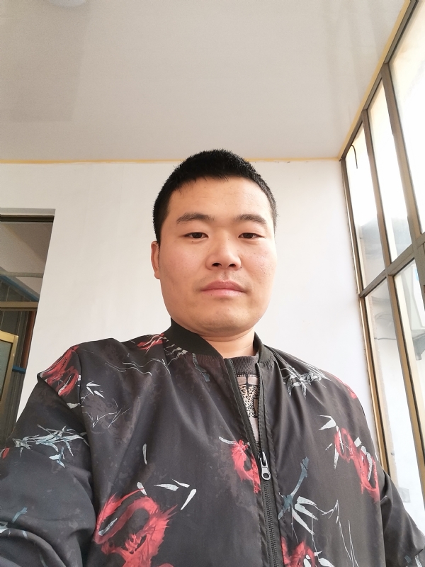 会飞的猪的第一张照片--嘉兴相亲服务中心