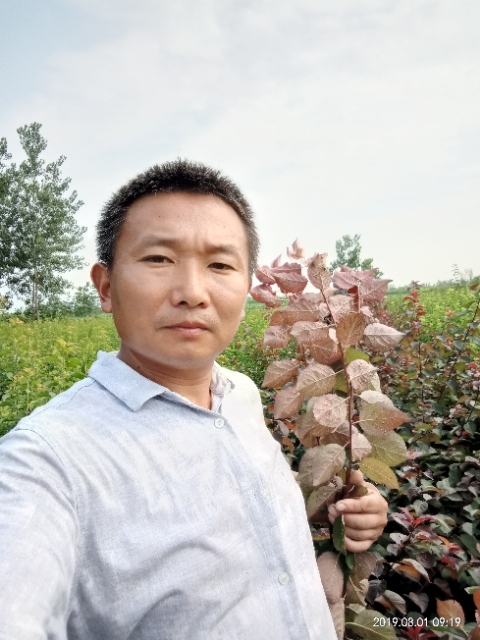 孩子爸的第一张照片--嘉兴相亲服务中心