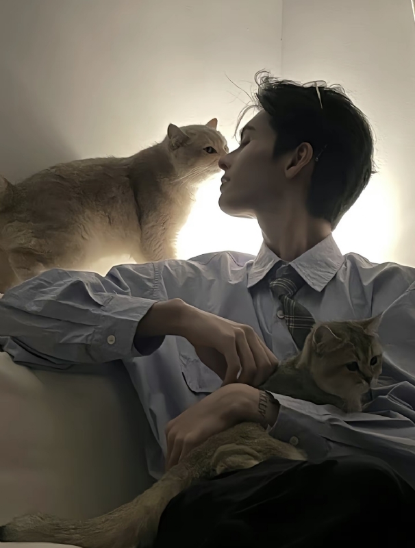 怪猫的第一张照片--嘉兴相亲服务中心